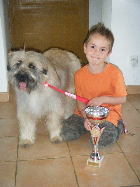 Filou de la vallée des Alpes